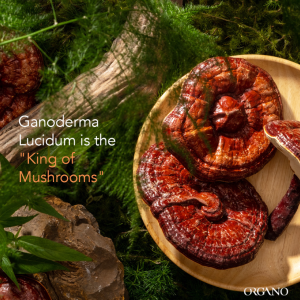 Ganoderm - King of Mushrooms